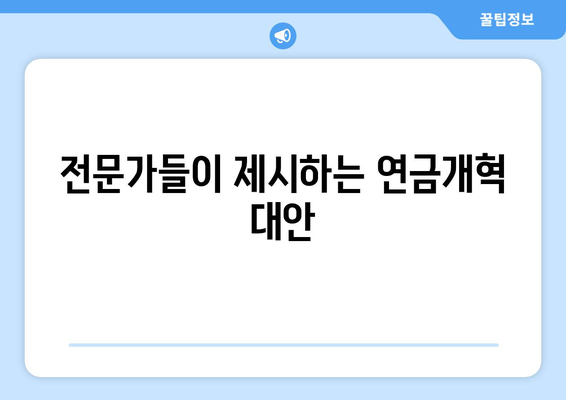 연금개혁안 문제점 해결 방안: 전문가의 시각