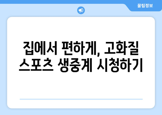 스포츠 실시간 라이브 고화질 무료 시청 방법