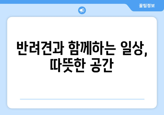 나 혼자 산다 박지현 편에서 공개된 집 내부