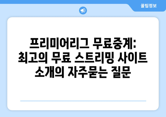 프리미어리그 무료중계: 최고의 무료 스트리밍 사이트 소개