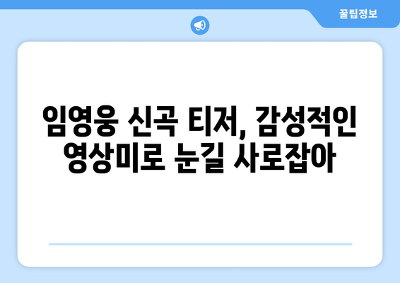 임영웅 신곡 발매 일정과 티저 영상 공개