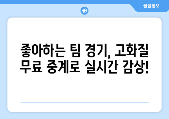 야구 무료 중계: 고화질로 실시간 시청