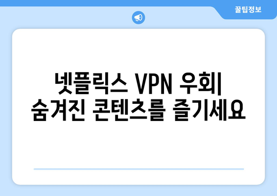 넷플릭스 VPN 티비위키 우회, 안전한 사용법