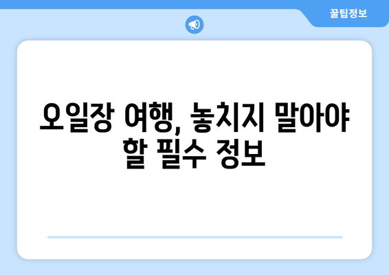 전국 5대 오일장 방문기: 날짜와 장소별 추천 정보