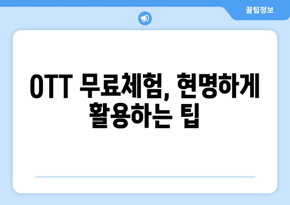 OTT 무료체험, 시작하기 전에 알아둘 팁