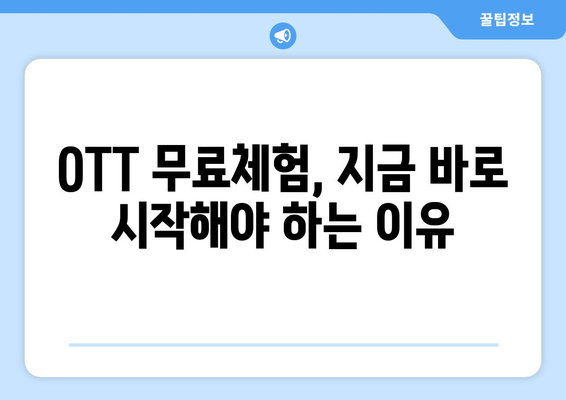 OTT 무료체험, 언제 시작해야 할까?