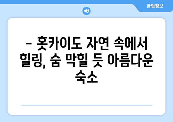 훗카이도 숙소 추천, 편안한 휴식을 위한 추천 숙소