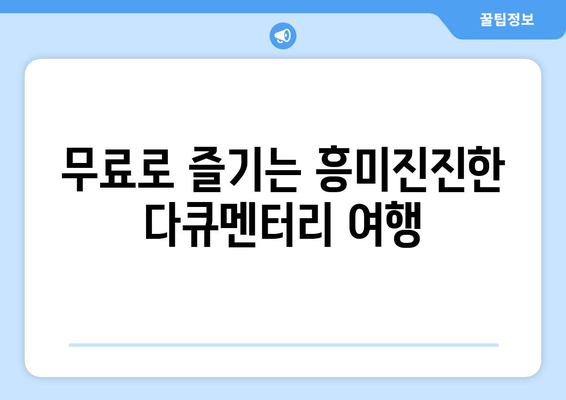 OTT 다큐멘터리 무료 시청 가능한 곳, 이곳 추천