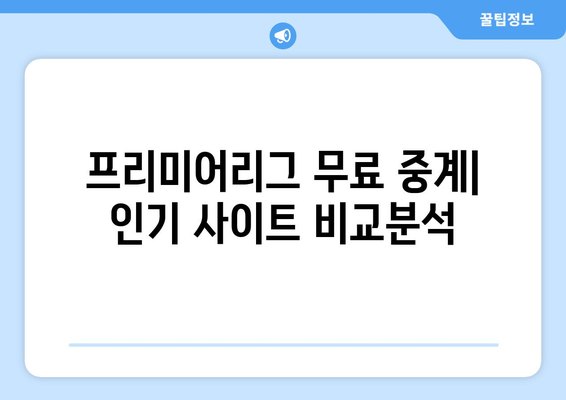 프리미어리그 무료 중계: 놓치지 말아야 할 사이트들