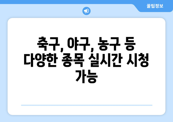 스포츠 실시간 고화질 중계 추천 사이트