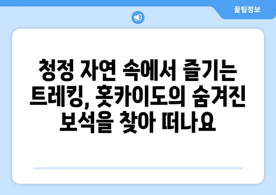 훗카이도 여행 정보, 자연 속에서 힐링을 경험할 수 있는 코스