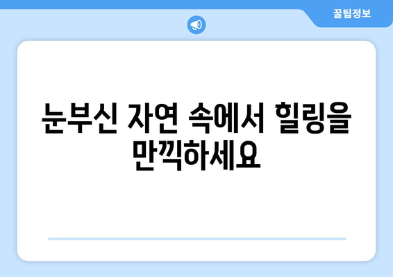 훗카이도 여행 필수 코스, 자연과 문화를 함께 즐기는 방법