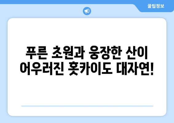 훗카이도 여행 정보, 자연 속에서 힐링할 수 있는 코스