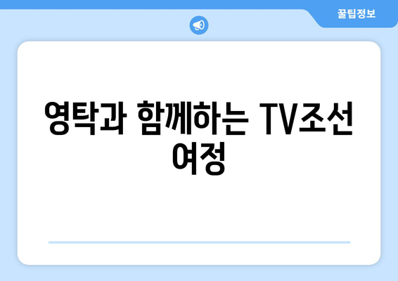 영탁 TV조선 방송 일정과 프로그램 소개