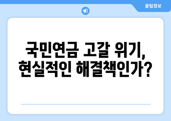 연금개혁안 문제점: 국민연금 개혁안의 위험 요소