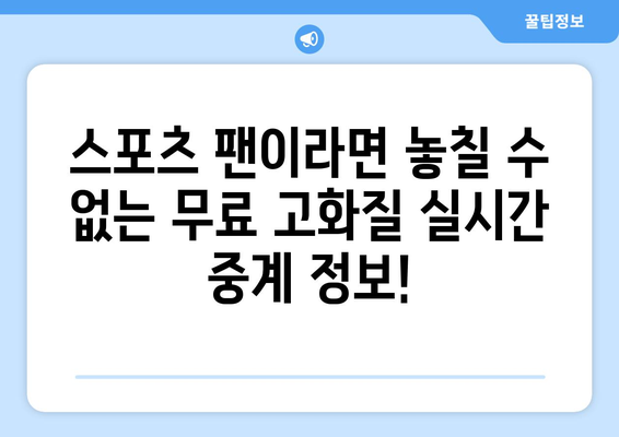 고화질 스포츠 실시간 티비 중계: 무료 시청 가이드