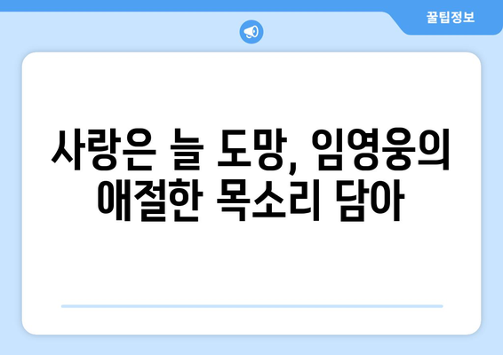 임영웅 신곡 사랑은 늘 도망 발표! 감성 폭발