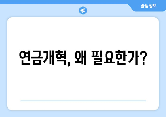 연금개혁안 문제점 분석: 국민연금 개혁의 주요 과제