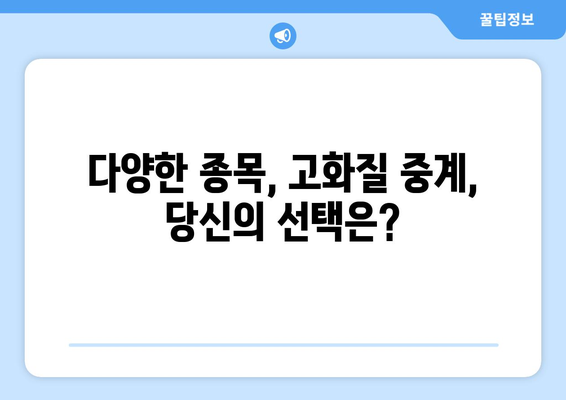 고화질 스포츠 중계 시청 가능한 플랫폼 추천