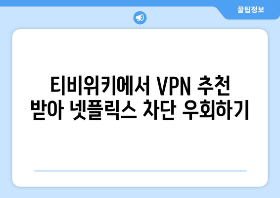 넷플릭스 VPN 티비위키, 차단 우회 쉽게 하기