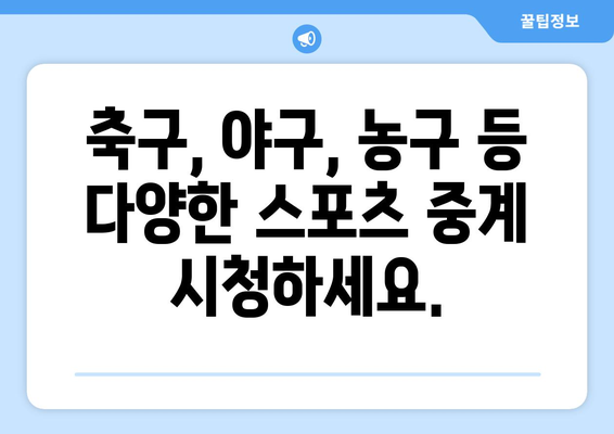 스포츠 실시간 무료 중계: 믿을 수 있는 사이트 추천