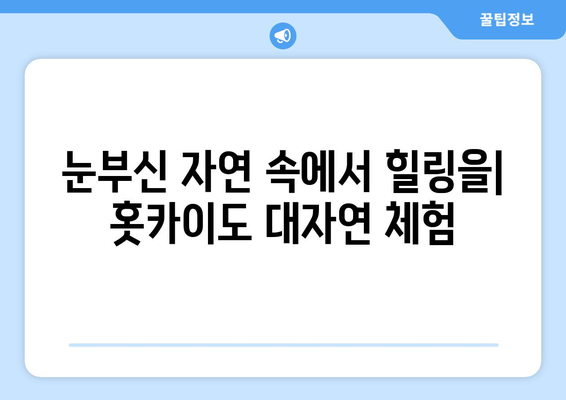 훗카이도 여행 추천, 자연과 문화를 함께 즐기는 방법