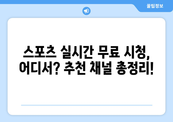 스포츠 실시간 티비 무료 시청: 추천 채널과 이용 방법