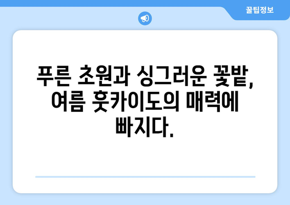 훗카이도 여행 가이드, 자연과 전통을 동시에 느끼는 방법