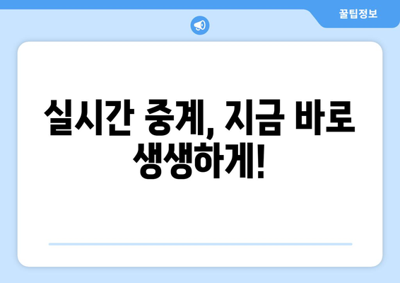 고화질 스포츠 실시간 중계 사이트 추천