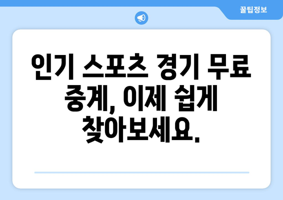 스포츠 실시간 무료 중계: 최신 업데이트와 추천 사이트