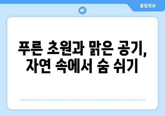 훗카이도 여행, 자연 속에서 진정한 힐링을 경험하는 법