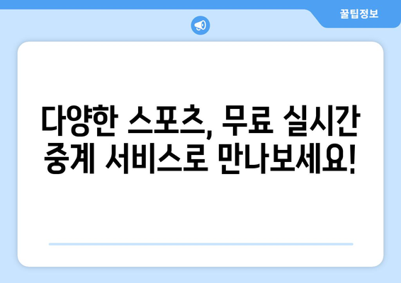 무료 스포츠 실시간 중계, 합법 서비스 추천