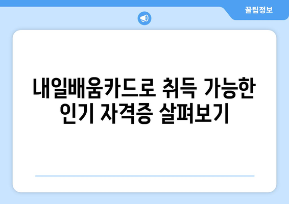 내일배움카드로 취득 가능한 다양한 자격증