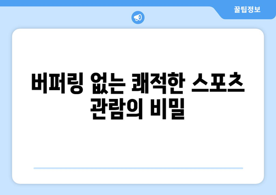 고화질 스포츠 중계, 끊김 없이 보는 방법