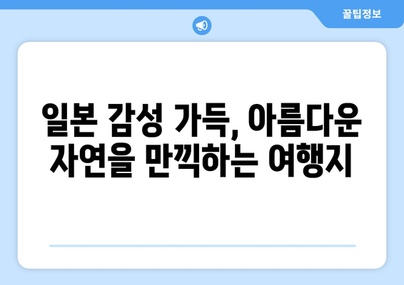 일본 여행지 추천, 관광객들이 사랑하는 인기 명소 모음