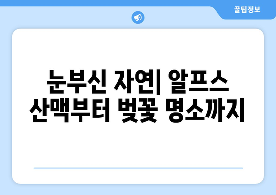 일본 여행지 추천, 관광객이 사랑하는 핫스팟