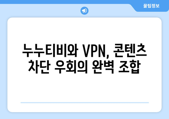 넷플릭스 VPN 누누티비와 함께 콘텐츠 차단 우회하는 법