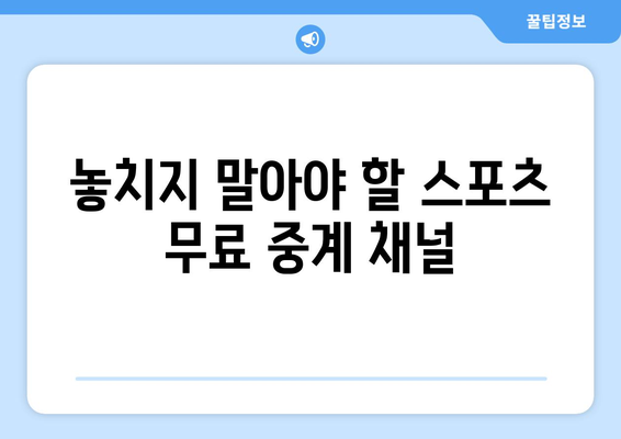 스포츠 실시간 무료 중계: 놓치지 말아야 할 방법들