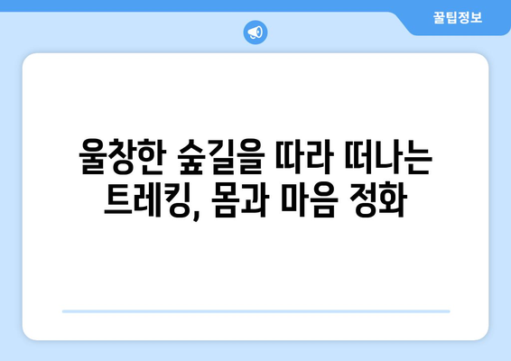 훗카이도 여행, 자연 속에서 진정한 힐링을 경험하는 법