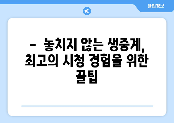 야구 생중계 실시간 시청을 위한 팁