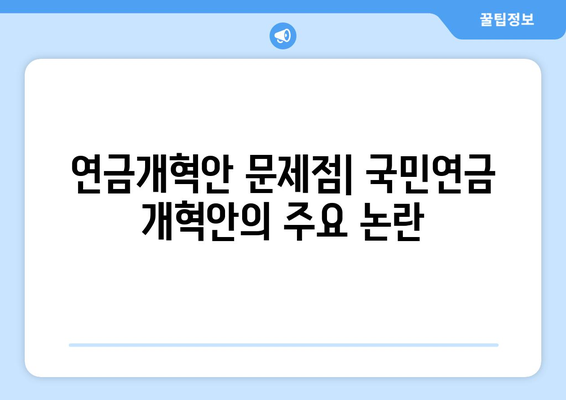 연금개혁안 문제점: 국민연금 개혁안의 주요 논란