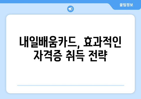 내일배움카드로 취득 가능한 전문 자격증 심층 분석