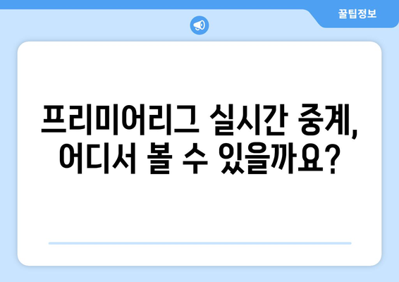 프리미어리그 무료중계 시청 가능한 플랫폼 소개