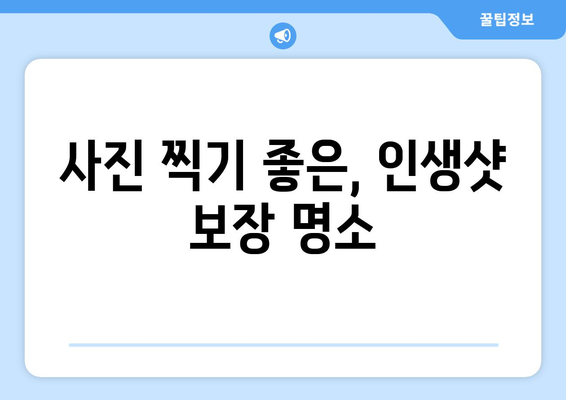 일본 여행지 추천, 관광객들이 추천하는 필수 명소 리스트