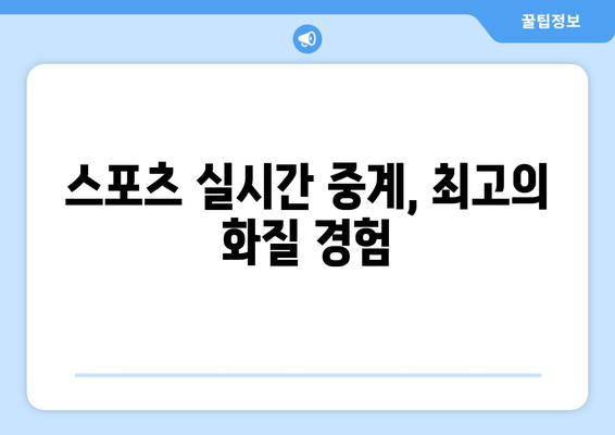 스포츠 실시간 티비 시청: 고화질을 위한 장비 추천