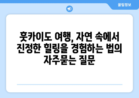 훗카이도 여행, 자연 속에서 진정한 힐링을 경험하는 법