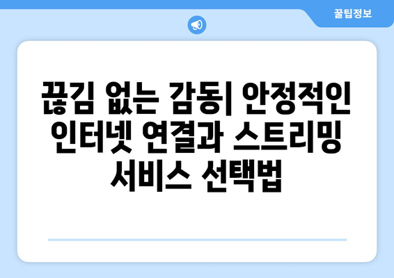 고화질 스포츠 중계 시청을 위한 팁과 서비스