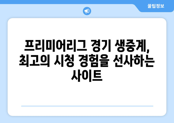 프리미어리그 실시간 무료 중계: 안전한 사이트 추천