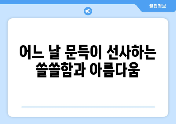 임영웅의 어느 날 문득으로 시작하는 가을 감성