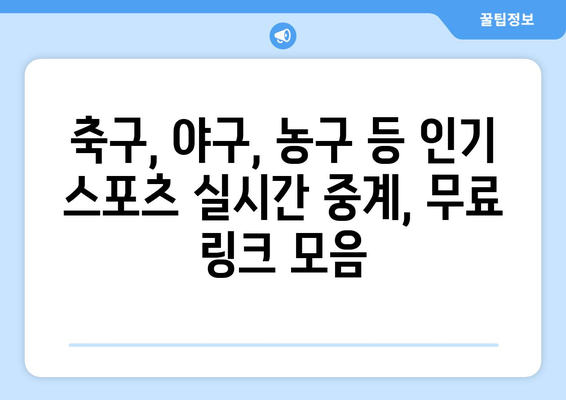 스포츠 실시간 중계: 고화질 무료 링크 모음